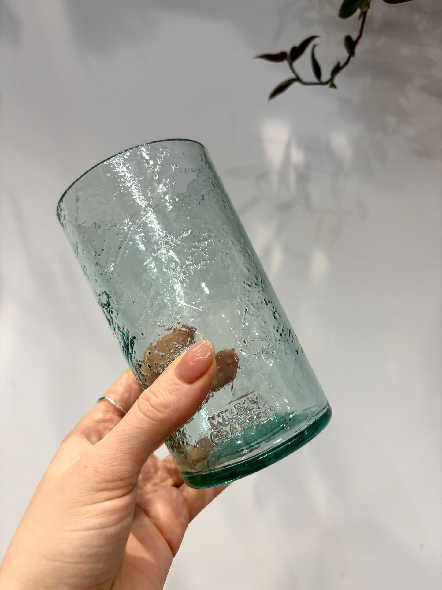 Wildly Crafted Etched Tumblers